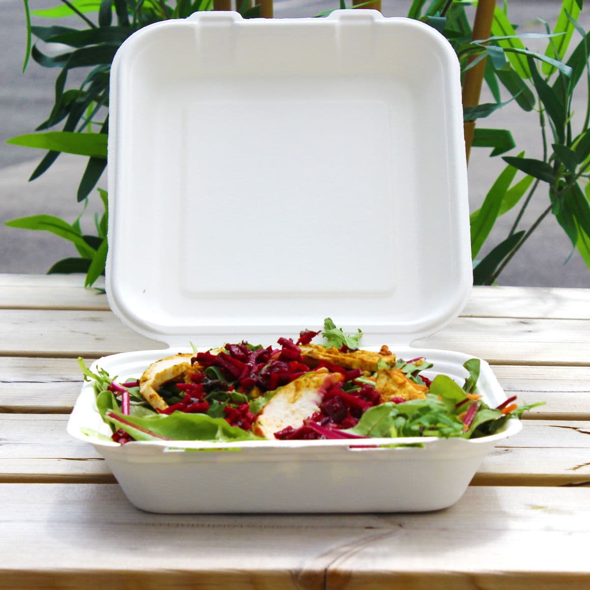 Bagasse Meal Box (9x9") 2