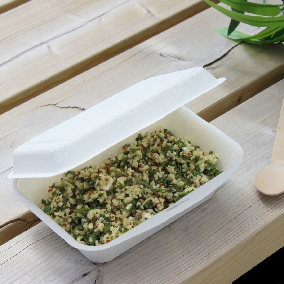 Bagasse Small Lunch Box (6x4") 2