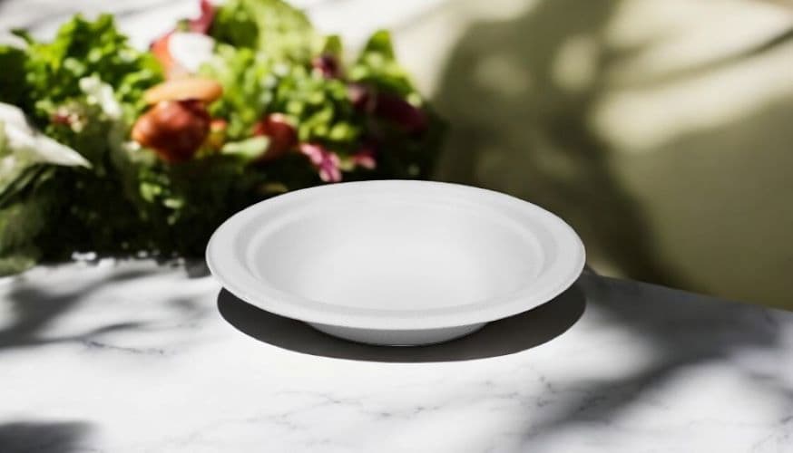 9oz Bagasse Bowl 2