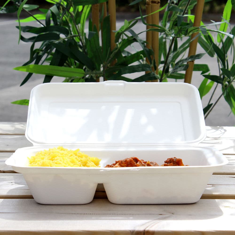 Bagasse Meal Box 2 Compartment (9x6x2") 2