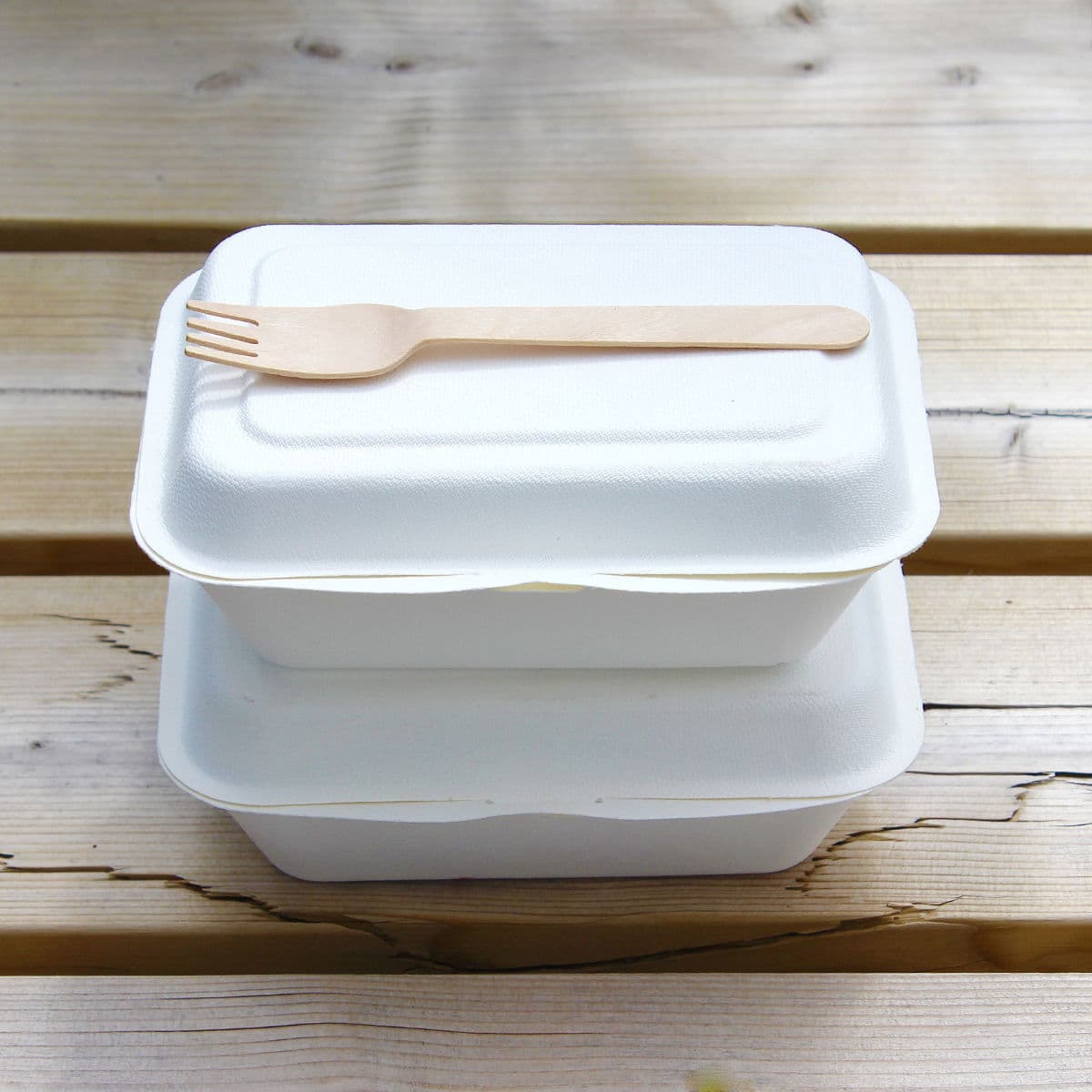 Bagasse Meal Box (7x5x2.5") 2