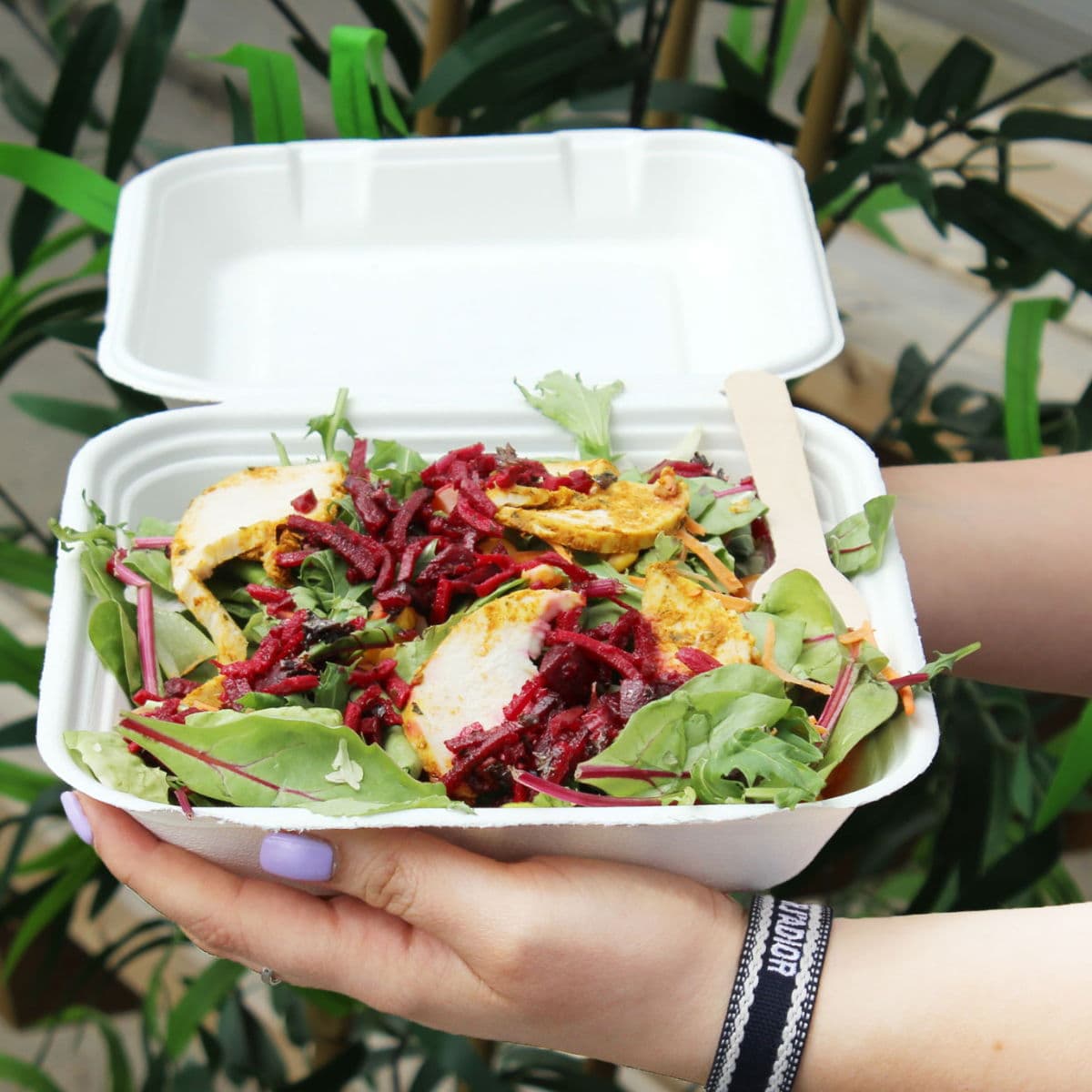 Bagasse Meal Box (8x8") 2