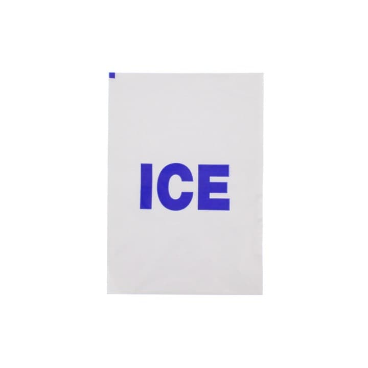 Clear Ice Bag (8x12")