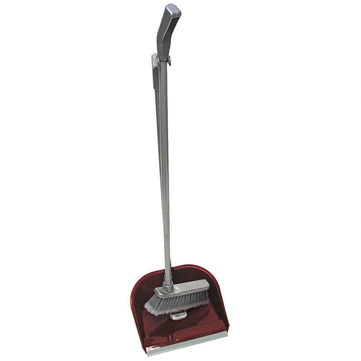 Dustpan and Brush Set