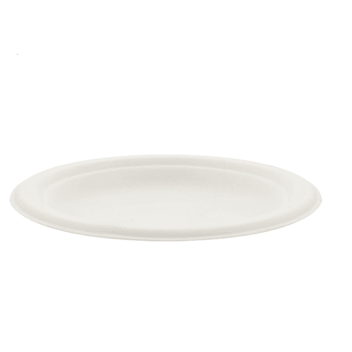 White Bagasse Dinner Plate (7")