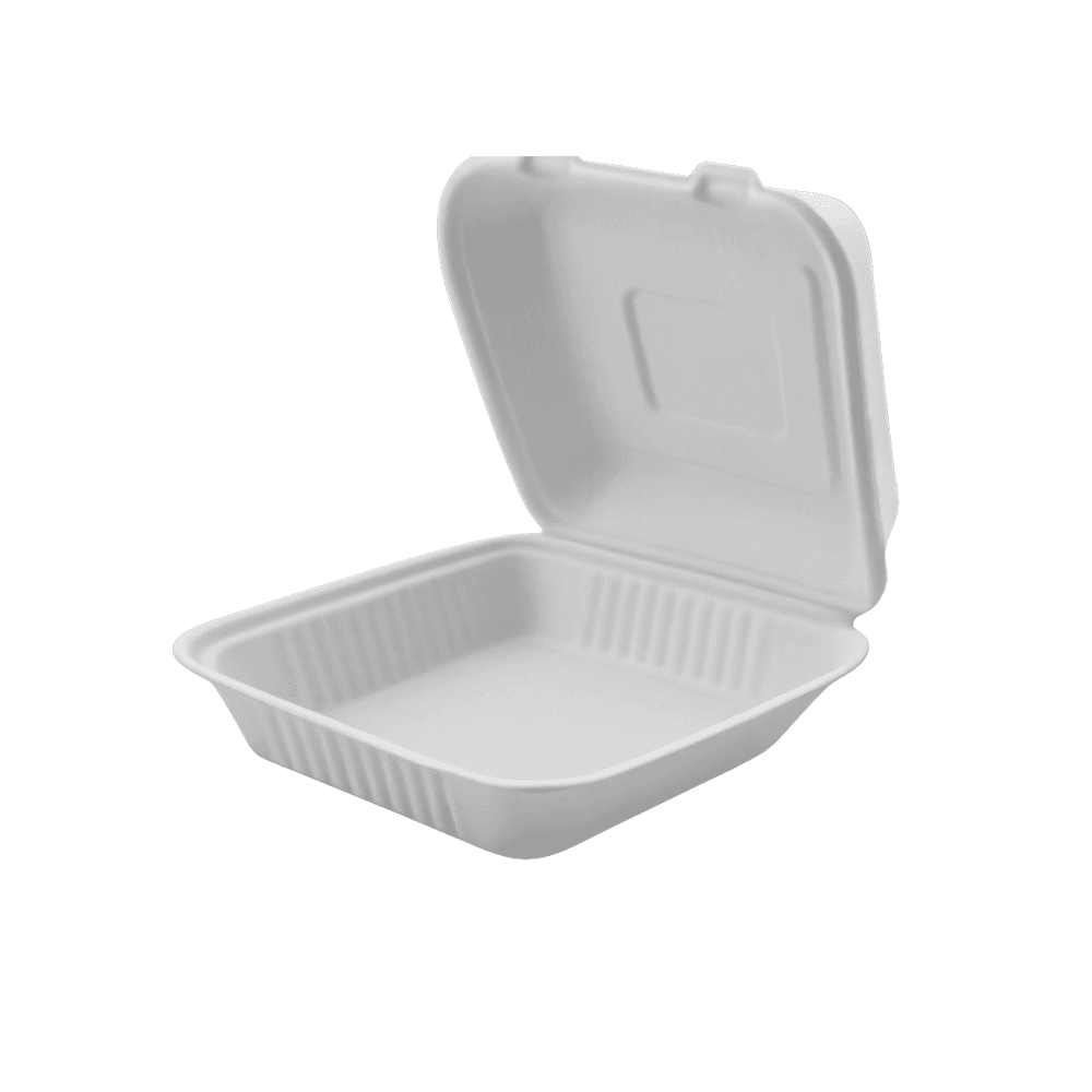 Bagasse Meal Box with Hinged Lid (9x9")