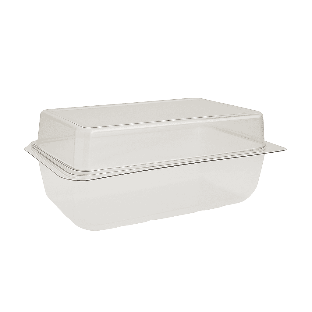 Rectangular Hinged Lid Cake Container (206x115x80mm)