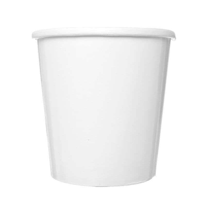 PE Soup Container (12oz)