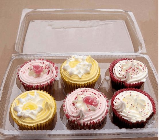 6 COMPT FAIRY CAKE CONTAINER 10"X7"X2"